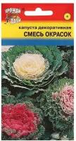 Семена цветов Капуста декоративная Смесь окрасок, 0,2 г