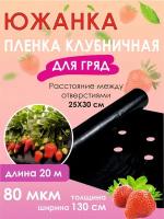 Пленка мульчирующая перфорированная для клубники, 1,3м х20 м, 80 мкм, черная 25х30 см