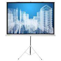 Рулонный матовый белый экран cactus Triscreen CS-PST-104x186