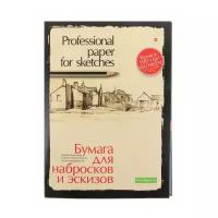 Папка для эскизов и набросков Альт Professional paper for sketches 29.7 х 21 см (A4), 100 г/м², 20 л