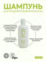 Шампунь для придания объёма волосам Volume Maker ICE by Natura Siberica take it home 250 мл