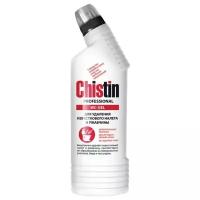 Средство чистящее CHISTIN Professional 750г от налёта и ржавчины