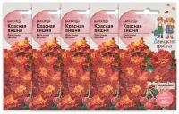 Набор семян Бархатцы Красная вишня 10 шт Детская грядка - 5 уп, семена однолетних цветов для сада, однолетние цветы для балкона, для сада, горшков