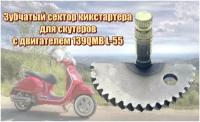 Зубчатый сектор кикстартера для скутеров с двигателем 139QMB L-55