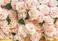 Бумажные обои Bellissimo Роскошные розы многоцветные 2,8х2 м