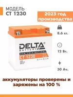 Аккумулятор для мототехники Delta CT 1230 (12V / 30Ah) (YTX30L-BS, YB30L-B, YTX30L)