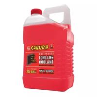 Антифриз Sakura Long life coolant, G12, 5L