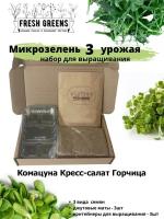 Микрозелень для выращивания Набор Fresh Greens (Комацуна Кресс-салат Горчица)