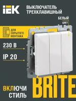 Выключатель IEK BR-V30-0-10 BRITE, 10 А