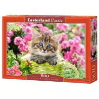 Пазл Castorland Kitten in flower garden (B-52974)