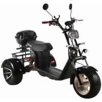 Скутер электрический SKYBOARD TRIKE BR60-3000 PRO