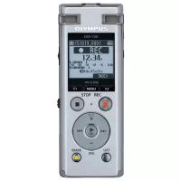 Цифровой диктофон Olympus DM-770,silver (8ГБ)