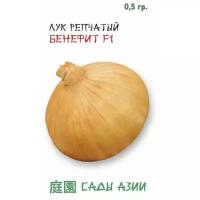 Лук репчатый Бенефит F1 0,5 г