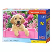 Пазл Castorland Labrador Puppy in Pink Box (B-030071), 300 дет., мультиколор