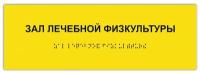 Таблички Брайля / Тактильная табличка ГОСТ со шрифтом Брайля ЗАЛ лечебной физкультуры 300х100мм