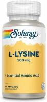 L-Lysine Free Form 500mg, 60 VegCaps