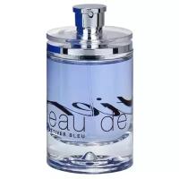 Cartier Eau de Cartier Vetiver Bleu Туалетная вода 100мл