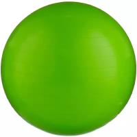 Мяч гимнастический INDIGO IN001 Зеленый 55 см