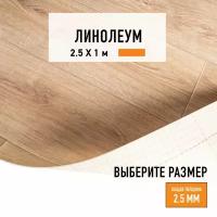 Линолеум для пола на отрез 2,5х1 м LEVMA HOME 02, бытовой, 21 класс, 4826212-2,5х1