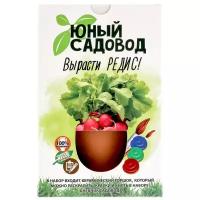 Набор для выращивания Инновации для детей Юный садовод. Вырасти редис