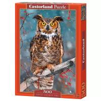 Пазл Castorland Great Horned Owl (B-52387), 500 дет., мультицвет