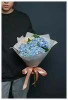 Букет гортензия микс (синяя, голубая, розовая), подарок девушке на 8 марта