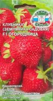 Земляника Огородница F1 (Евро 15)