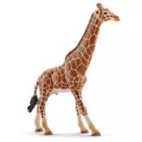 Фигурка Schleich Жираф самец 14749, 17 см