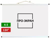 Экран для проектора про-экран 280 на 210 см (4:3), 134 дюйма