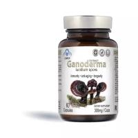 Ганодерма со спорами экстракт / гриб Рейши / Иммуномодулятор / Ganoderma Extract Lucidum Spore, 60 капсул