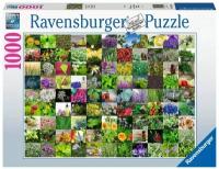 Пазл Ravensburger 1000 деталей: 99 трав и специй 159918