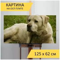 Картина на ОСП 