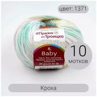 Пряжа из Троицка Кроха арт.1371М 20% шерсть, 80% акрил 50г 135м 10шт