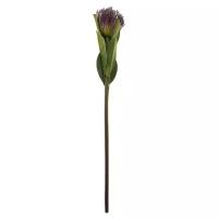 Цветок (68 см) Леукоспермум 265-601, Цвет: зеленый, фиолетовый