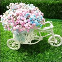 Цветочная композиция с радужной гипсофилой Велосипед
