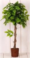Искусственное дерево/ Лимонное дерево бонсай / Искусственные дерево для декора/ искусственные дерево для декора в горшках