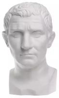 Гипсовая фигура известные люди голова Августа, 26 х 28 х 48 см