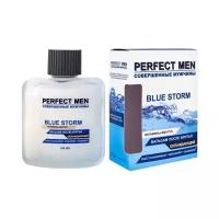 Парфюмерия XXI века Мужской Perfect Men Blue Storm Бальзам после бритья 100мл