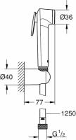 Набор для гигиенического душа Grohe Tempesta-F 27513001