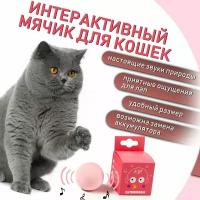 Игрушка для кошек и собак интерактивный мяч со звуком 