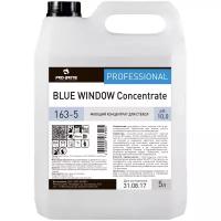 Жидкость Pro-Brite Blue Window Concentrate для стёкол