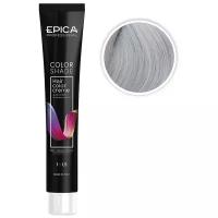 EPICA PROFESSIONAL Colorshade Крем-краска 11 Steel пастельное тонирование Сталь, 100 мл