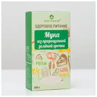 Мука из пророщенной зеленой гречки, 300 г 4499054