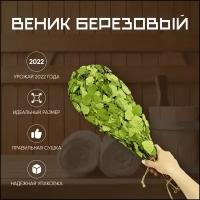 Веник берёзовый