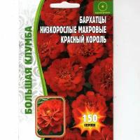 Бархатцы низкорослые махровые красный король ( 1 уп: 100 семян )