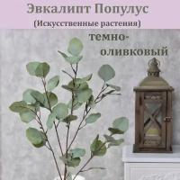 Эвкалипт Популус Темно-оливковый искусственный (1 ветка) / Озеленение помещений / Реалистичный эвкалипт