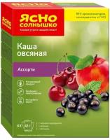 Каша Ясно солнышко Овсяная ассорти №15 черная смородина вишня и яблоко 6х45 г