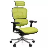 Компьютерное кресло Comfort Seating Ergohuman Plus для руководителя, обивка: текстиль, цвет: green