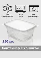 Контейнер одноразовый с крышкой 250 мл 25 штук для заморозки, хранения, обедов, свч