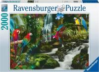 Пазл Ravensburger 2000 деталей: Разноцветные попугаи в джунглях